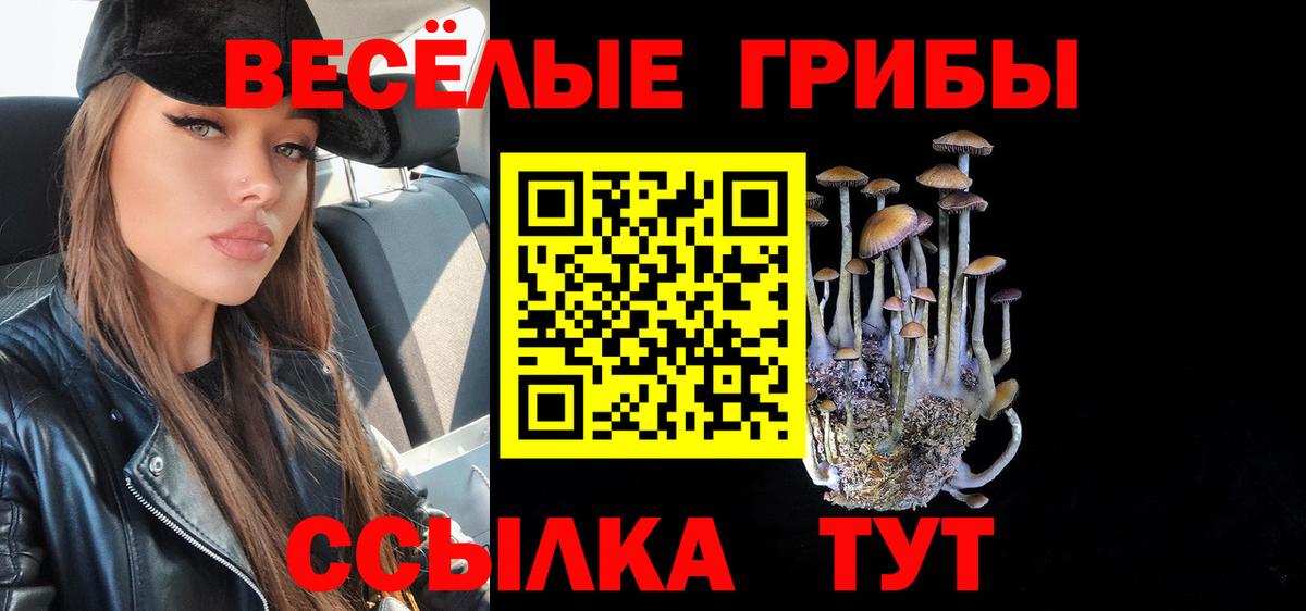 Псилоцибиновые грибы Magic Shrooms Ногинск