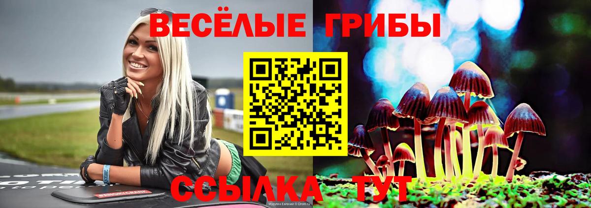Ногинск  Псилоцибиновые грибы прущие грибы  Вход с VPN 